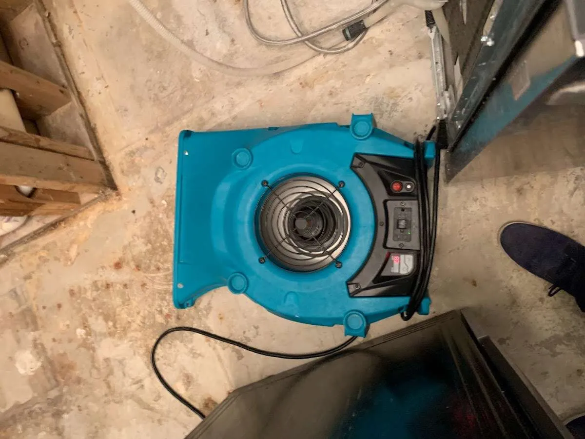 Air mover drying equipment for Mold Remediation & Removal in Lacombe
