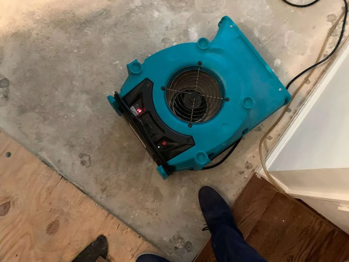 Air mover drying subfloor during Leak Detection & Repair in Lacombe